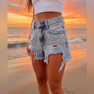 Zara Trafaluc Denim Makers Distressed Denim Shorts, Size 2